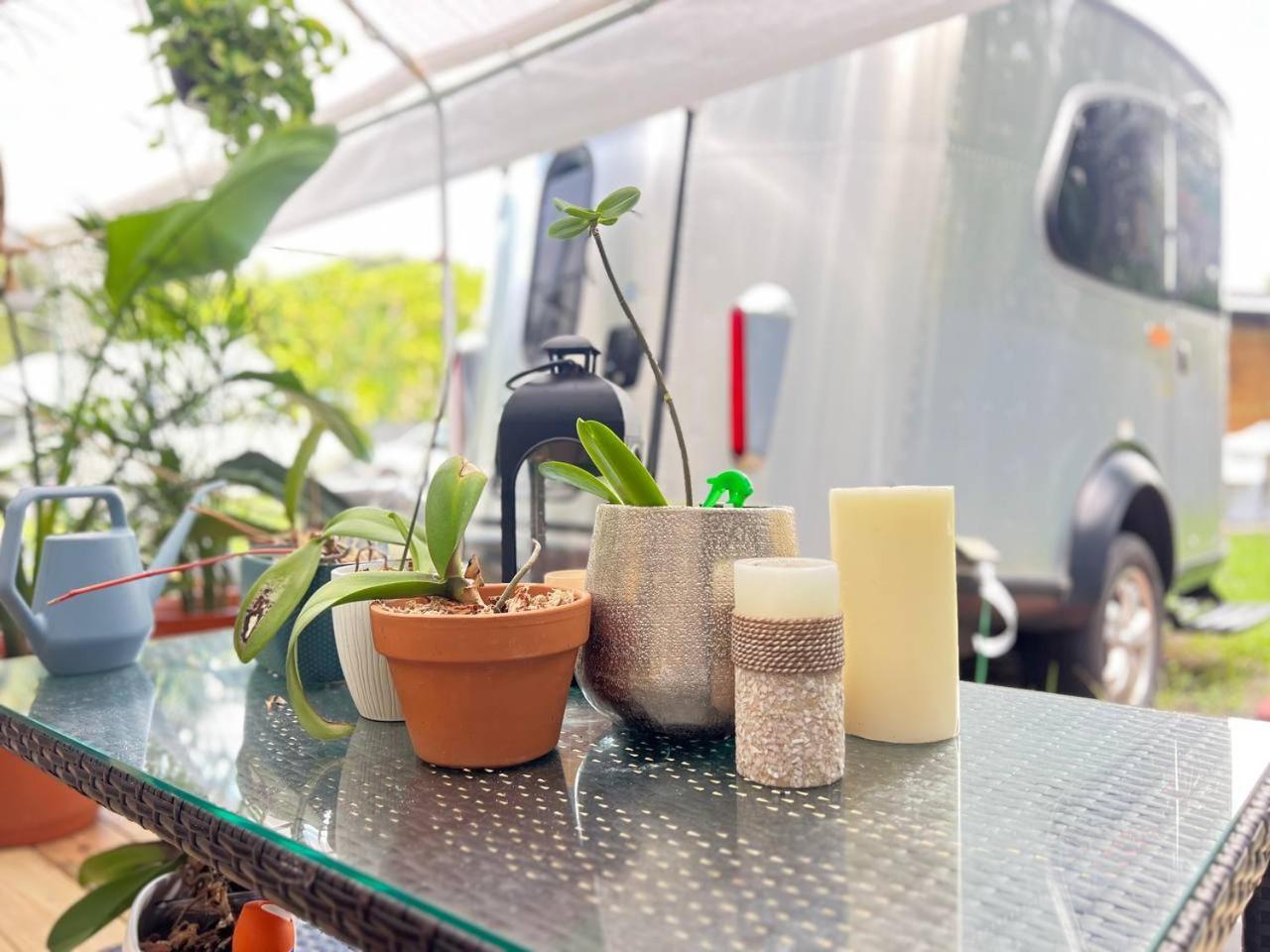 Work, Rest And Play: Wifi, Tv And Backyard Bliss Leilighet North Miami Beach Eksteriør bilde